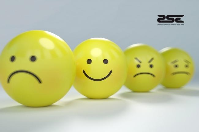 ZSE - Gestion Emocional