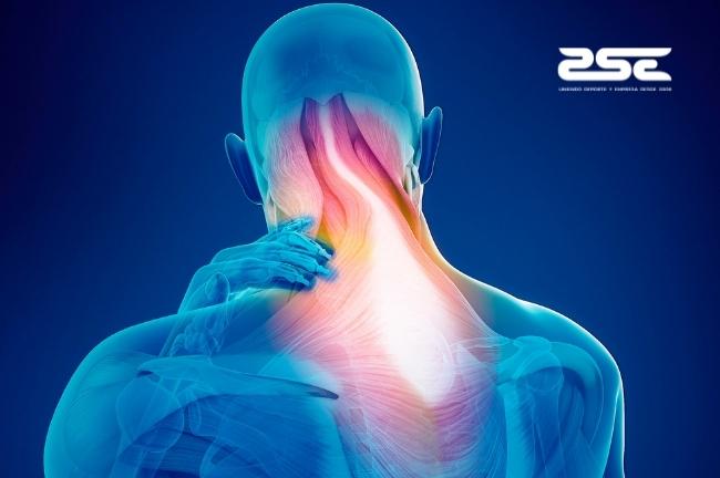 ZSE - Ergonomia