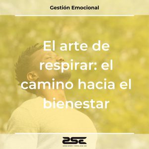 ZSE - El arte de respirar el camino hacia el bienestar