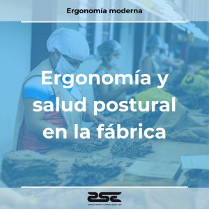 ZSE Formaciones - Ergonomia - Ergonomia y salud postural en la fabrica
