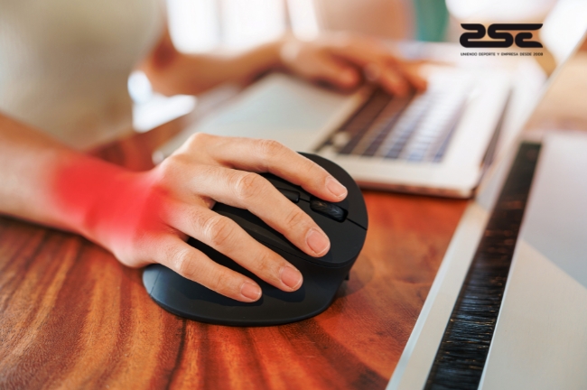 ZSE Nuevas formaciones en Ergonomia