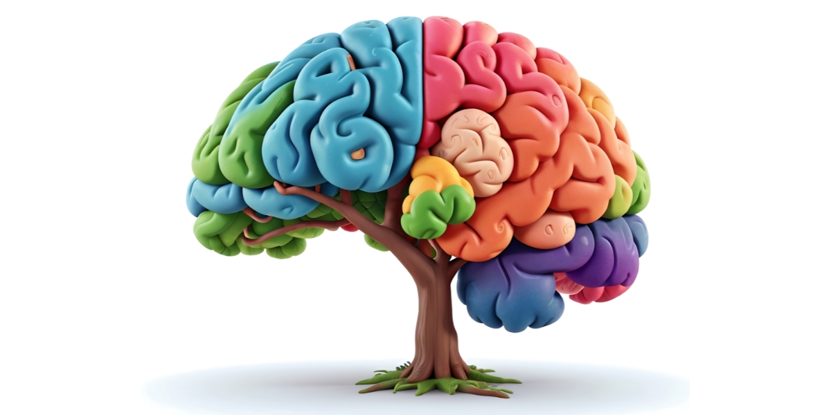 ZSE - Newsletter 202604 - ZSE crece - Lanzamos nuestra nueva Consultoria de Bienestar